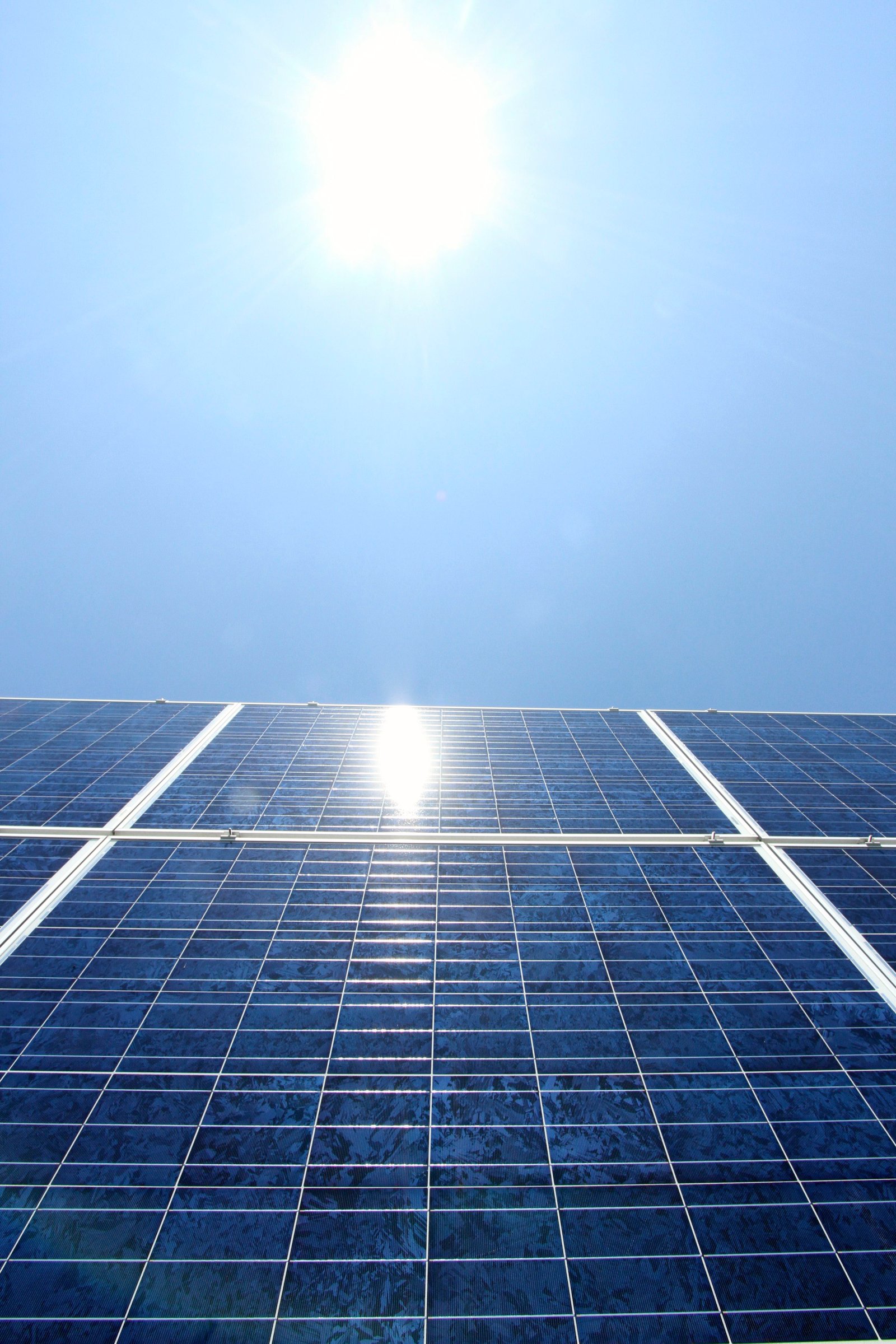 Solar on Canadian Solar plant in Mississauga, Ontario 6 Green