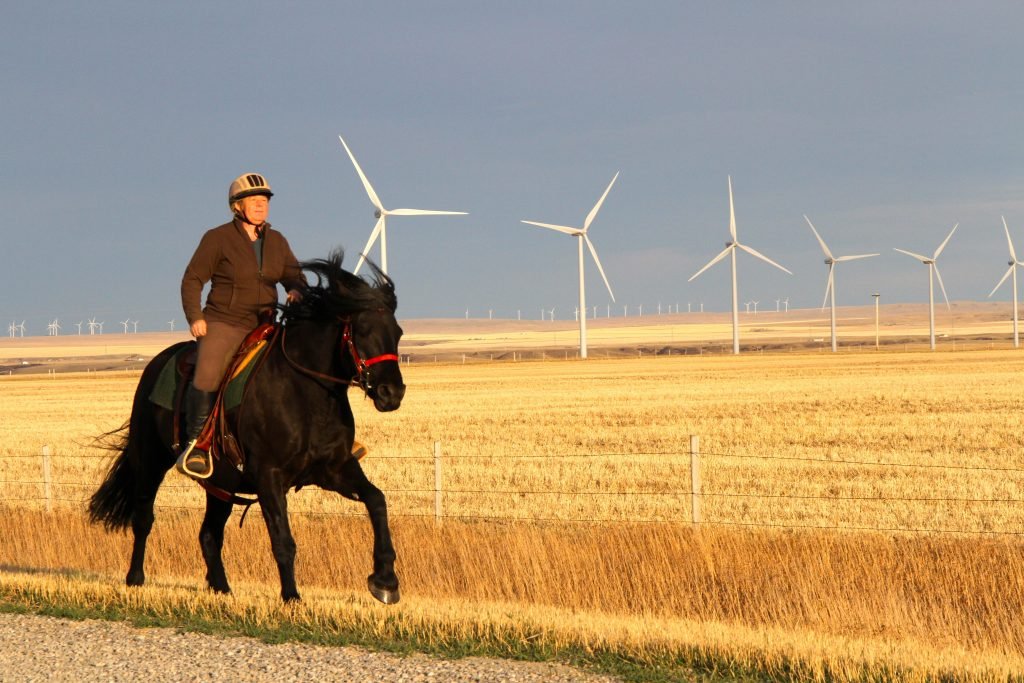 heidi eigel: one farmers wind story