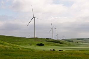 You can give the gift of renewable energy for $15/month or less as a unique gift. This idea works at the home scale or entire school boards. Twenty five school boards in rural Alberta built the Bull Creek Wind Farm near Provost, Alberta to provide 100% renewable energy to 500 schools in Alberta. That's the gift of a clean energy future. Bull Creek consists of 17 wind turbines that have a name plate capacity of 29 megawatts, enough to power 500 schools in Alberta. Photo David Dodge, GreenEnergyFutures.ca https://www.greenenergyfutures.ca/episode/bull-creek-powers-schools