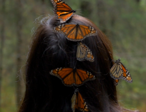 Butterflies on head