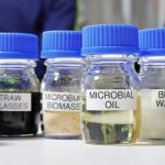 What is used to make biodiesel fuel?