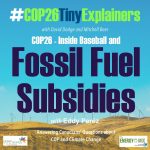 Fossil fuel subsides and inside baseball at COP26